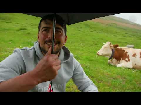 Yaylacı Anne ve Oğulları Belgesel Film