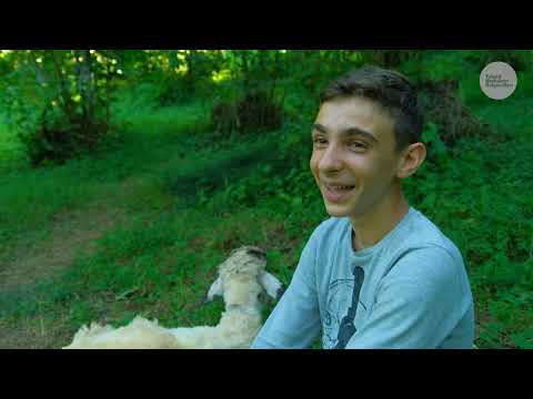 Genç Çobanın Kuzu Sevgisi Belgesel 4K