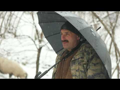 Kar Üstünde Çobanlık Belgesel 4K