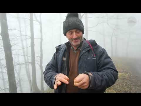Ormanın Komşuları Belgesel