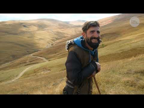 Yayladaki Aile Keçi ve İnek Çobanlığı Belgesel
