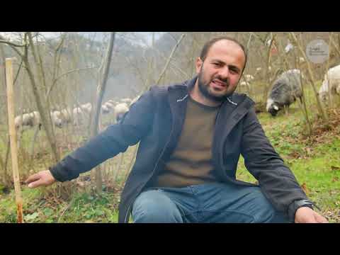 Kışın Koyun Çobanlığı Belgesel