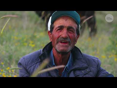 Yalnız Bir Hayat Ayı görünce korkudan ayakları düzelen adam