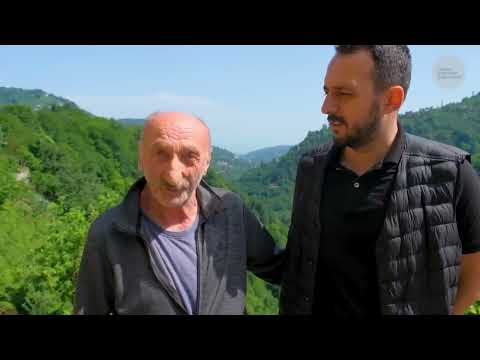 Yeşilin İçindeki Emek Çay Eksperliği Belgesel 4K Müzik