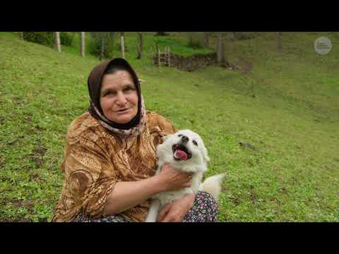 Eski Ko yu n Yankıları Unutulmuş Bir Zamandan Hayat
