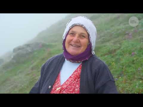Sevime Ninenin Yayladaki Hayatı Belgesel 4K