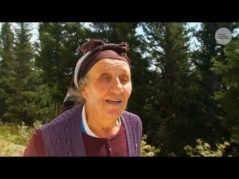 Kadırga dan Göç 50 Yıllık Yayla Aşkı Belgesel