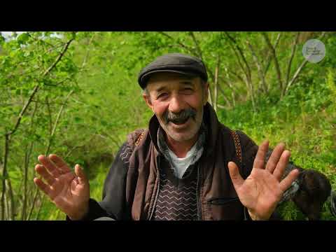 Çoban Yayla ve Koyun Sürüsü Belgesel