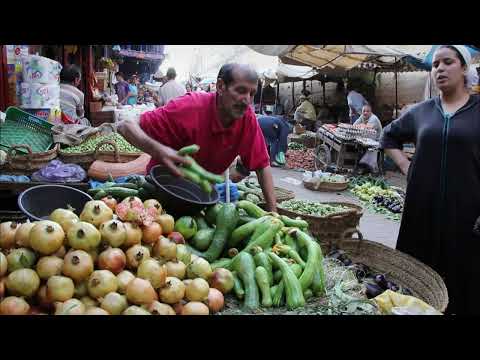 Le Maroc et les grandes dynasties Les civilisations perdues