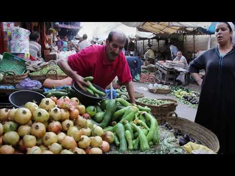 Maroc les grandes dynasties