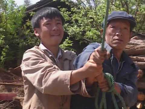 En Chine l écriture sacrée des Naxi