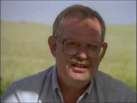 Little Bighorn The Archaeological Evidence That Changed