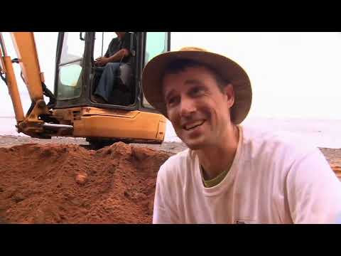 Les premiers dinosaures