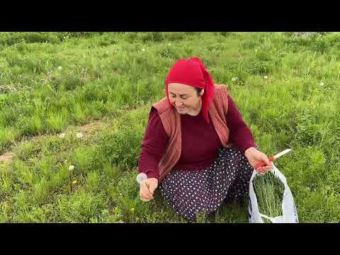 Görümcemle ot toplamaya gittik sirken otu yabani sarımsak