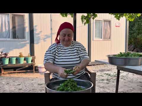 Akşam Yemeği Hazırlığı Maydonoz Derimi ve Saklama