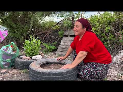 YILLARCA KALSA DA İLK GÜNKÜ TAZELİĞİNİ KORUR ÜZÜM YAPRAĞI