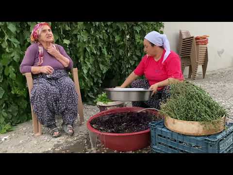 EVDE TAMAMEN DOĞAL YÖNTEMLERLE BAHARAT KURUTMA NANE KEKİK