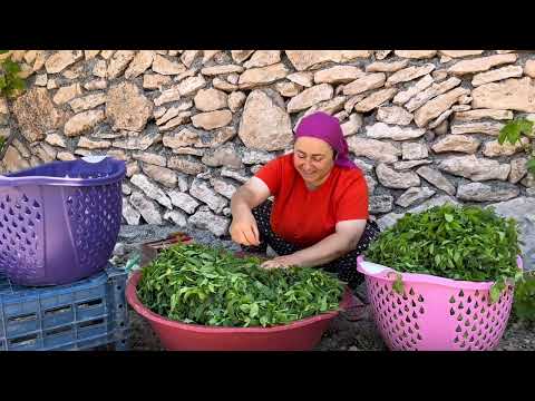 Rengini Bozmadan Nane Nasıl Kurutulur Akşama Misafirlerim