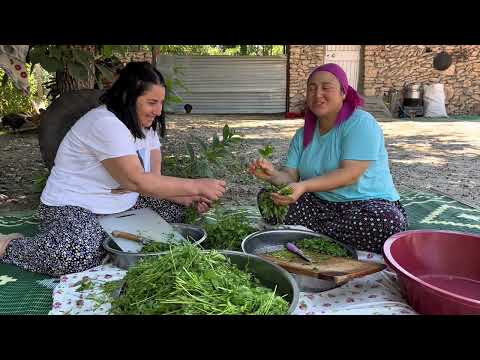 Bahçemden Topladığım Taze Sebzelerden Nenem Usulü Meyir