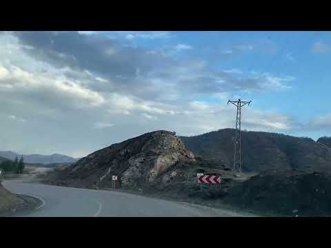 Asırlık Çınar Ağacı Doğa ile baş başa