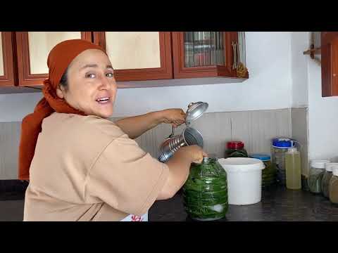 YAPRAK SARMA İÇİN DUT YAPRAĞI SALAMURASI ESKİLERİN EN