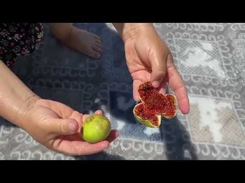 HALI YIKAMA VLOGU TEMİZLİK DÜZEN İŞLERİ