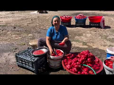 A dan Z ye tüm püf noktalarıyla salça yapımı 270 kilo