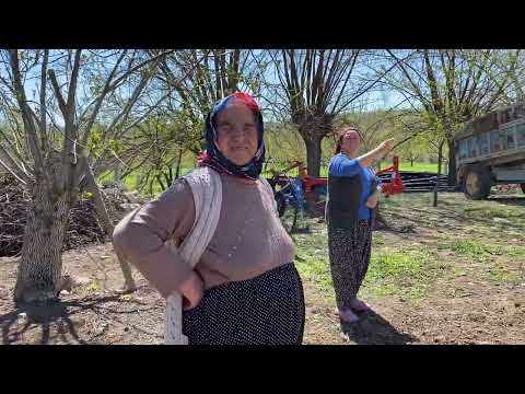Yemeye Bile Kayısı Bulamayacağız Zarar büyük Allah