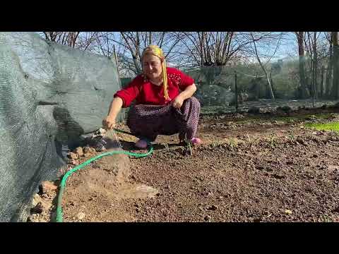FIRINDA NOHUT YEMEĞİ PİRİNÇ PİLAVI CACIK YEŞİLLİKLERİMİZİN