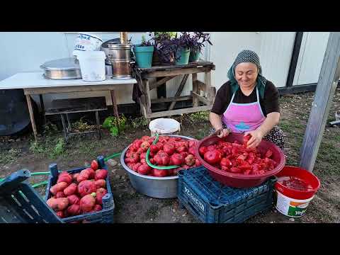 Salça yapımı 10 ayda salça nasıl yapılır ve muhafaza edilir
