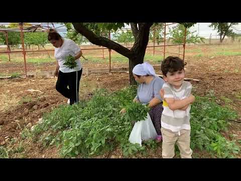 PİKNİK TADINDA ÇİFTLİKTE BİR GÜN BAKALIM NELER YAPTIK