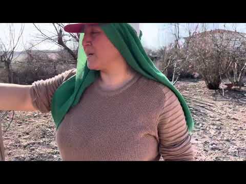 Akşam Serinliğinde Yemek Hazırlığı Yeşillik Yerimizi