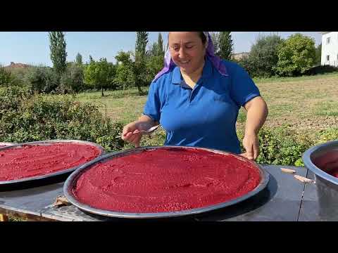 EVİMİZE GİREN YILAN NE OLDU KÖY YERİNDE YUFKA EKMEK YAPIMI