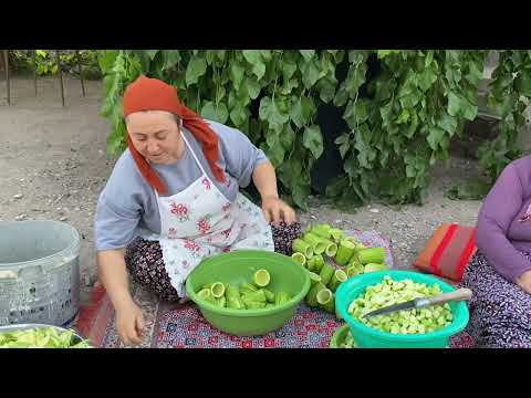 KIŞLIK DOLMALIK KABAK NASIL KURUTULUR KÖYDE KIŞA HAZIRLIK