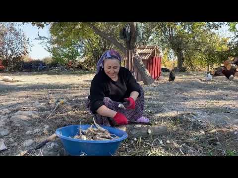 MALATYA NIN BİR KÖYÜNDE DOĞAL KÖY YAŞAMI