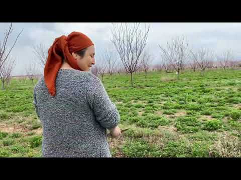 DOĞADA YETİŞEN NİMETLER BAYAT EKMEK NASIL DEĞERLENDİRİLİR