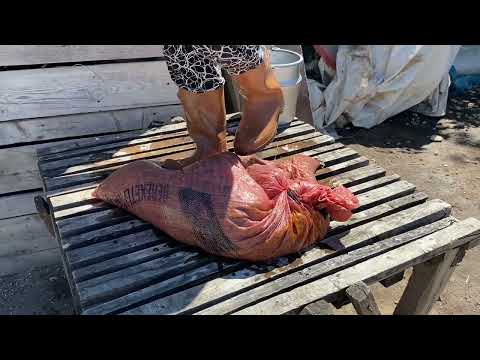 BİLMEYENLER İÇİN PÜF NOKTALARIYLA KÖY ORTAMINDA DOĞAL