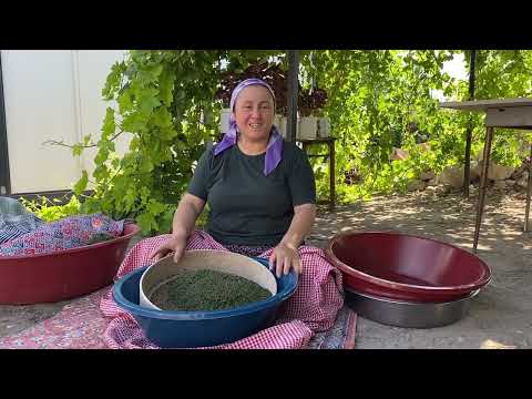 MALATYA USULÜ ERİK EKŞİSİ TARİFİ EV YAPIMI EN LEZZETLİSİ