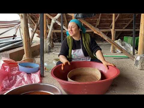 KÖYDE DOĞAL PUL BİBER VE TOZ BİBER YAPIMI SEBZELİ DOLMA VE