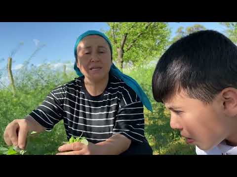 ÇİFTLİKTE BİR GÜN YEĞENLERİMİZLE MANGAL YAKTIK BU ÇİFTLİKTE
