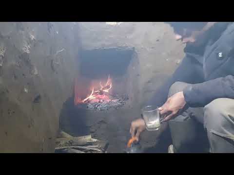 My Secret Underground Shelter in the Jungle Survival and