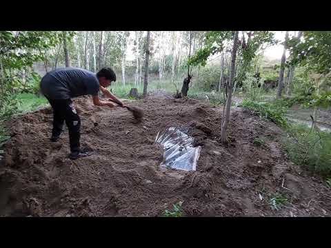 Building a secret haven in the heart of nature traditional
