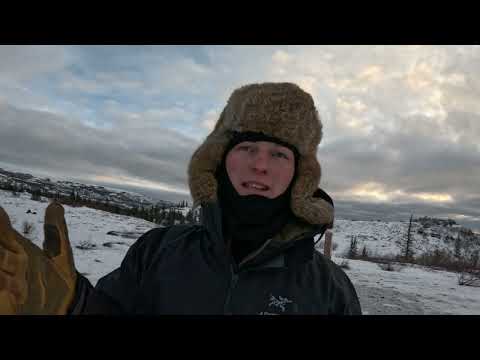 A Fun Winter Trip With The Guys Denali Park