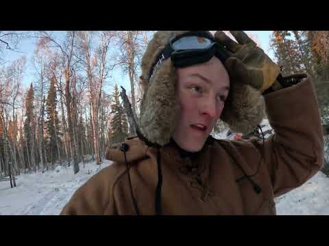 Solo Off Grid Alaska Dogs Furniture A Window