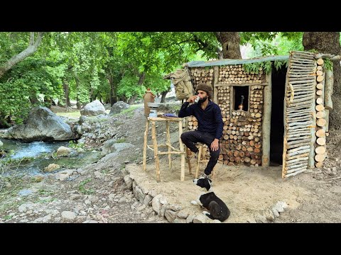 Building a Cozy Forest Cabin by Hand Off Grid Life Next to