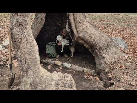7 Days Alone in the Wild Building a Hidden Tree House by