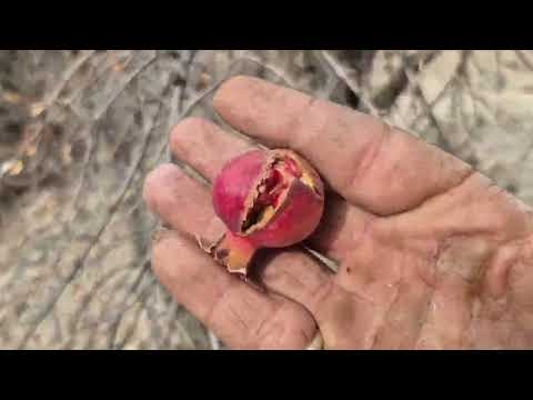 Rebuilding a Forgotten Stone Cabin Deep in the Forest From
