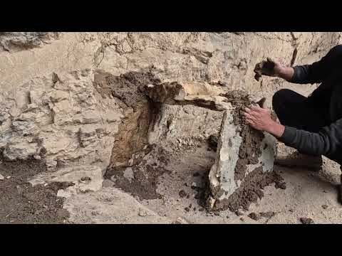 I Built a Hidden Cave Shelter Alone with My Dog No Talking