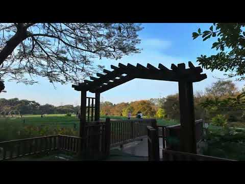 Why is this Chinese Beautiful Village so empty Relaxation