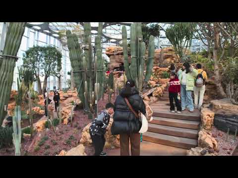 China s Most Magical Place They Built a Tropical Rainforest